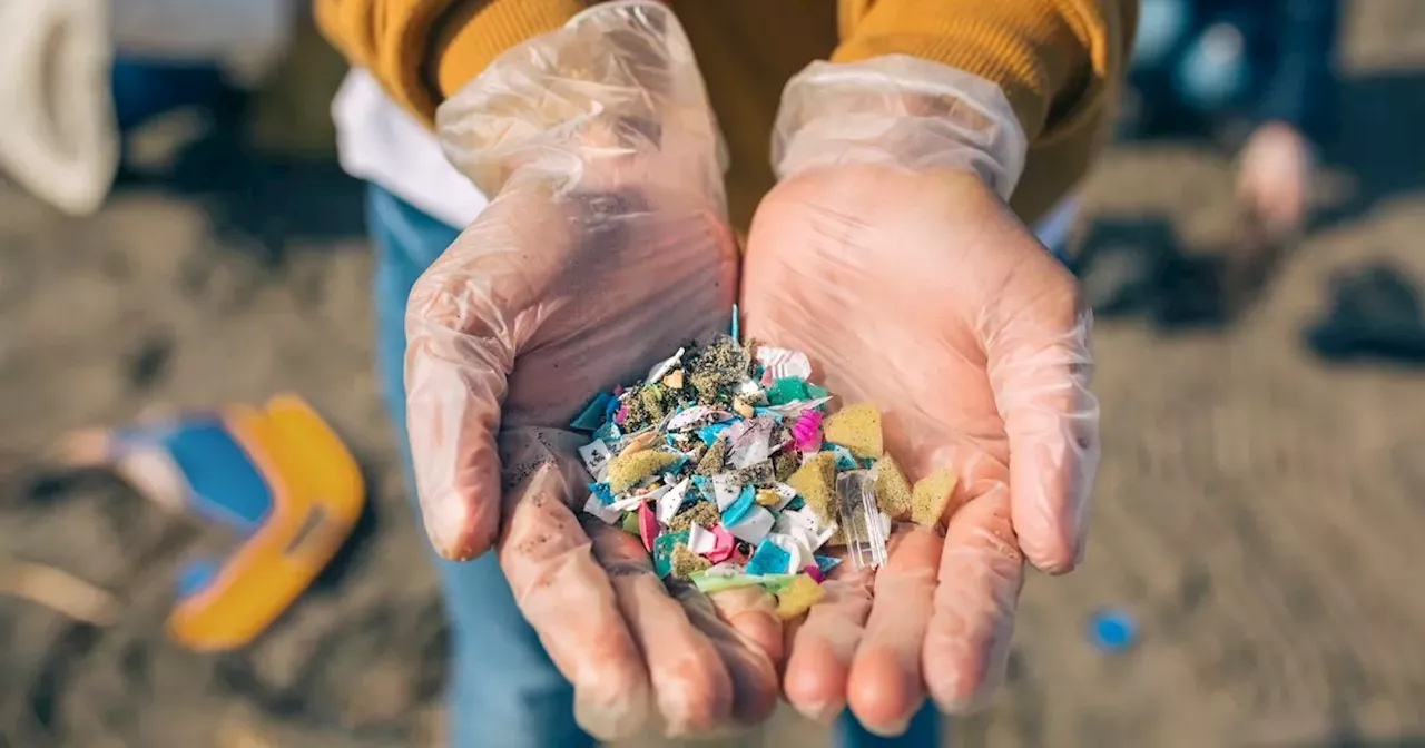 Microplastics discovered in all human testicles tested in 'concerning' new study