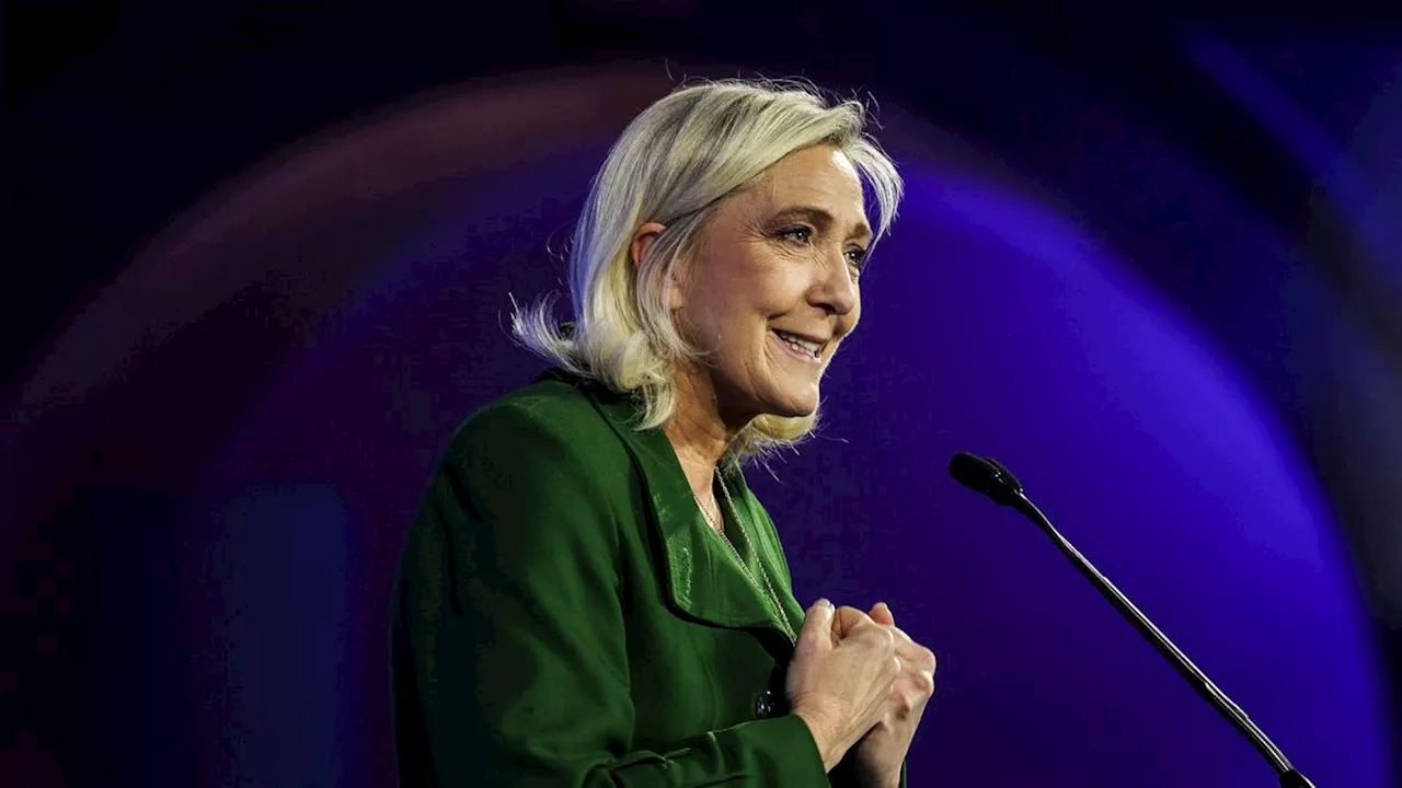 Bruch bei Rechtspopulisten: Marine Le Pen beendet Zusammenarbeit mit AfD im Europaparlament