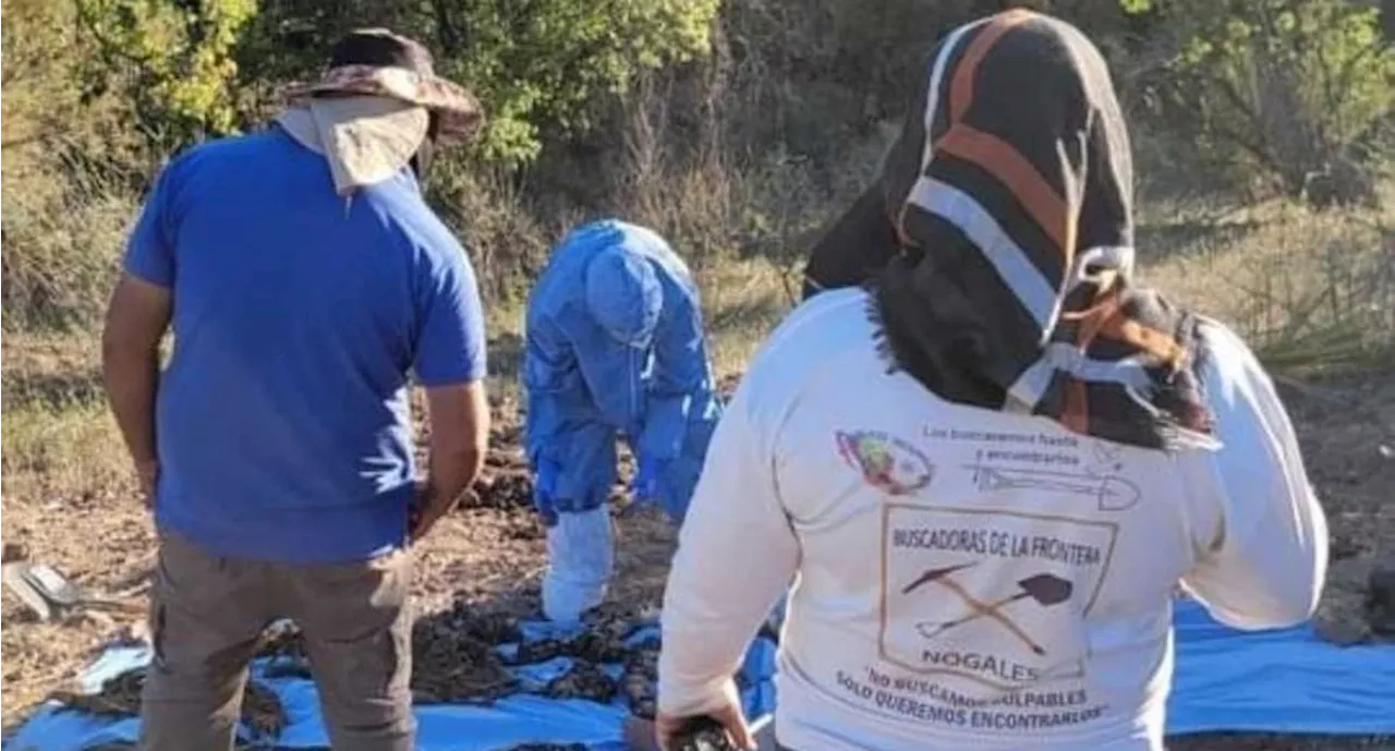 Colectivos de búsqueda hallan 10 cuerpos en fosas clandestinas en la frontera de Nogales, Sonora