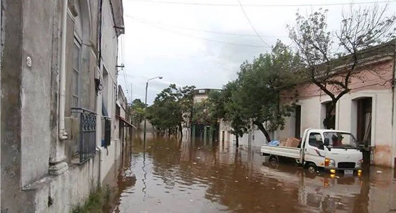 Uruguay decreta 120 días de emergencia agropecuaria por las inundaciones