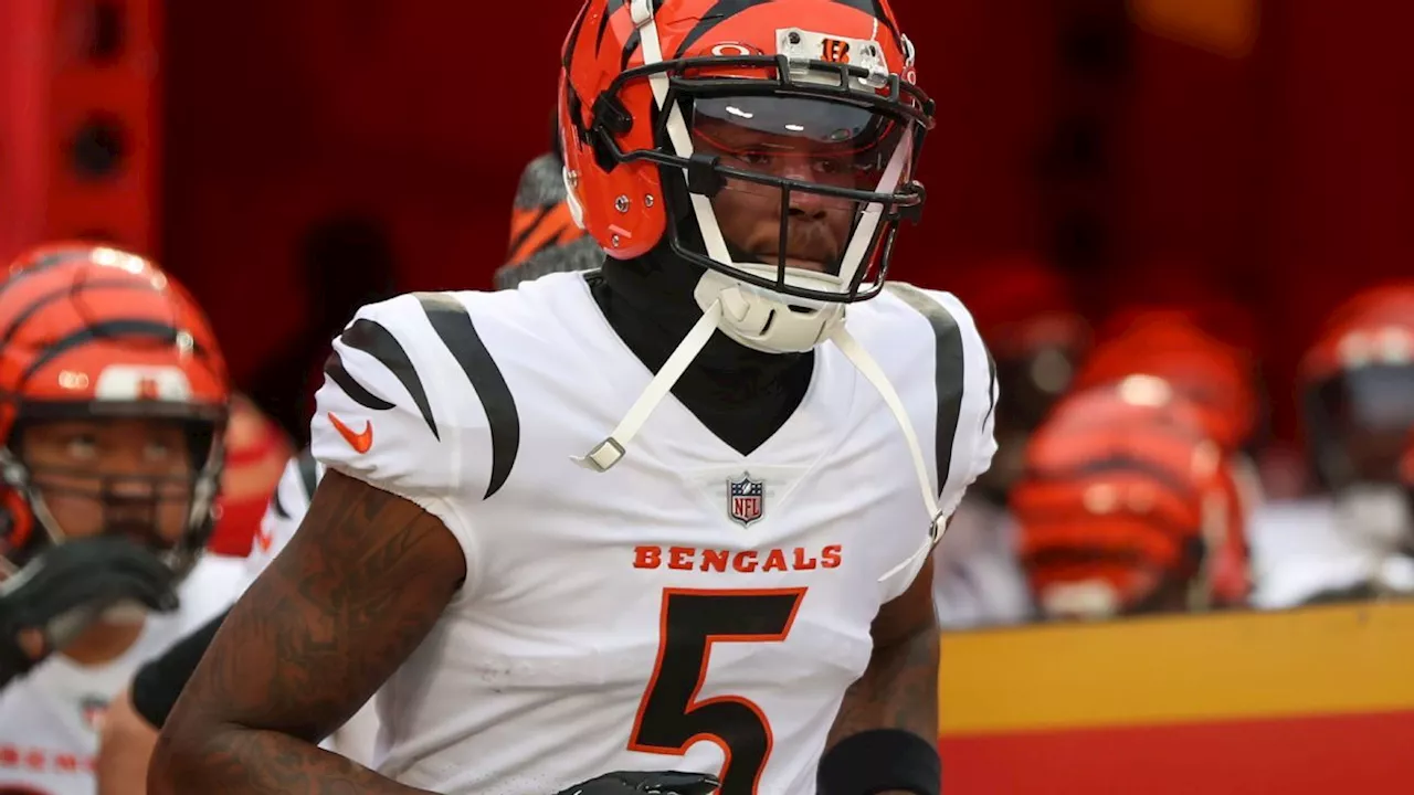 Tee Higgins not expected to sign tender before Bengals OTAs