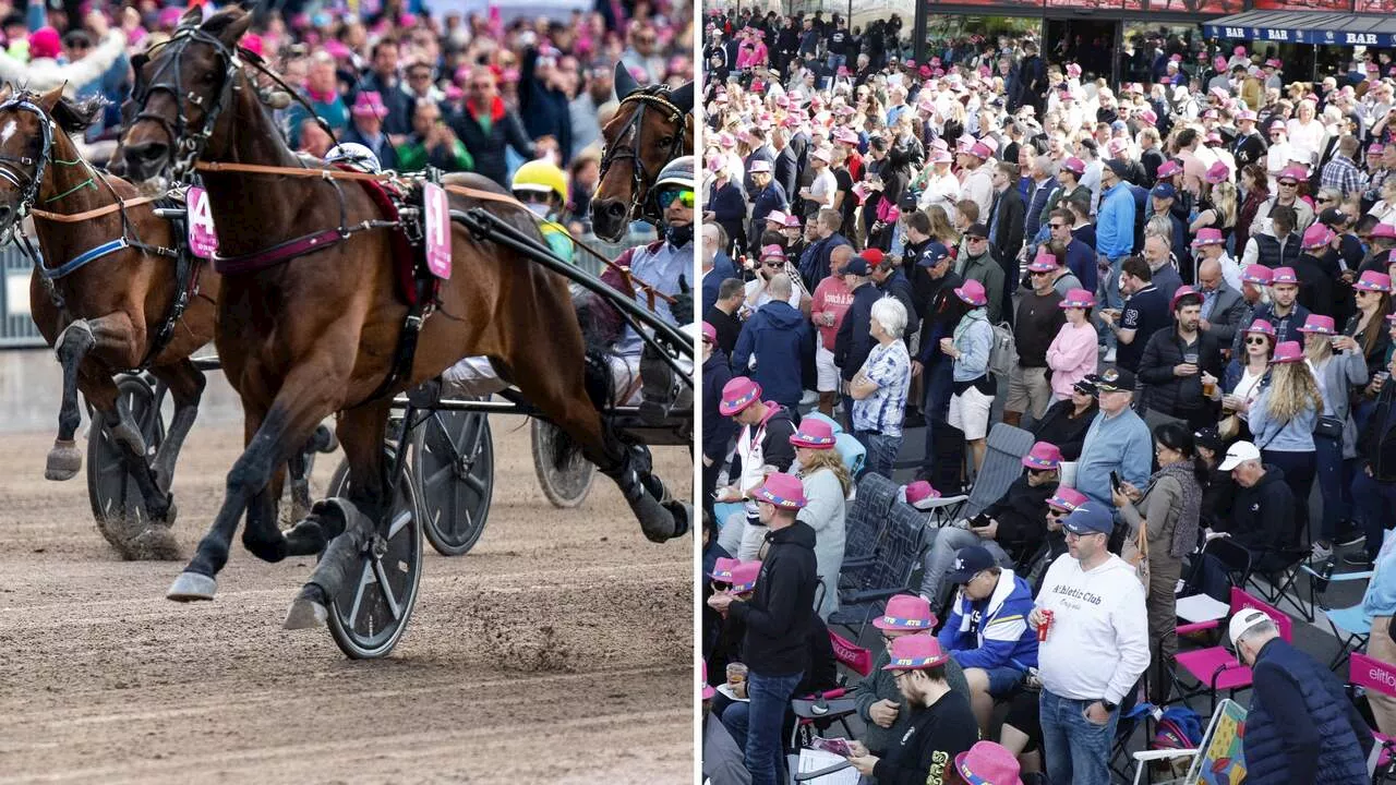 Elitloppet 2024 Solvalla: Allt du behöver veta • Tv-tider, odds, guide, fakta, startlistor