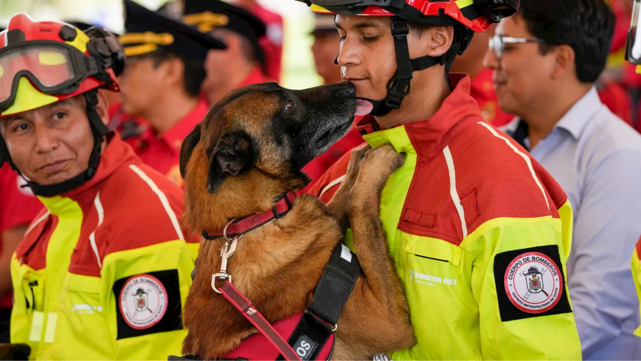 Heroic canines honored as 5 firefighter dogs retire, begin new lives with loving families