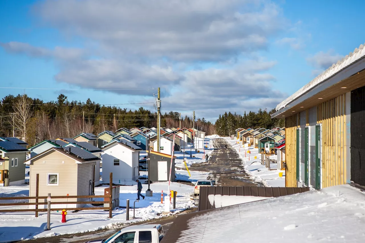 New Brunswick non-profit 12 Neighbours expanding micro-home venture