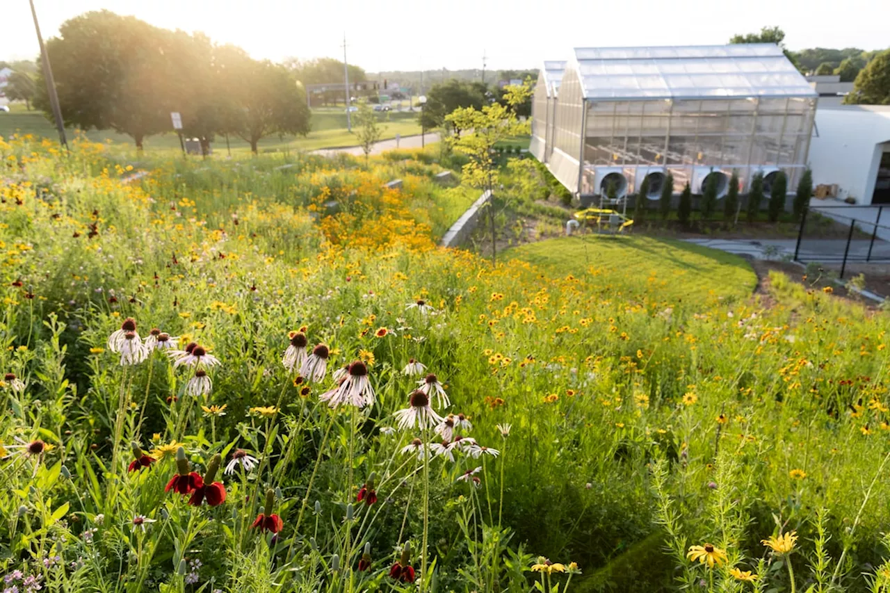 Globe Climate: The one with great gardening advice