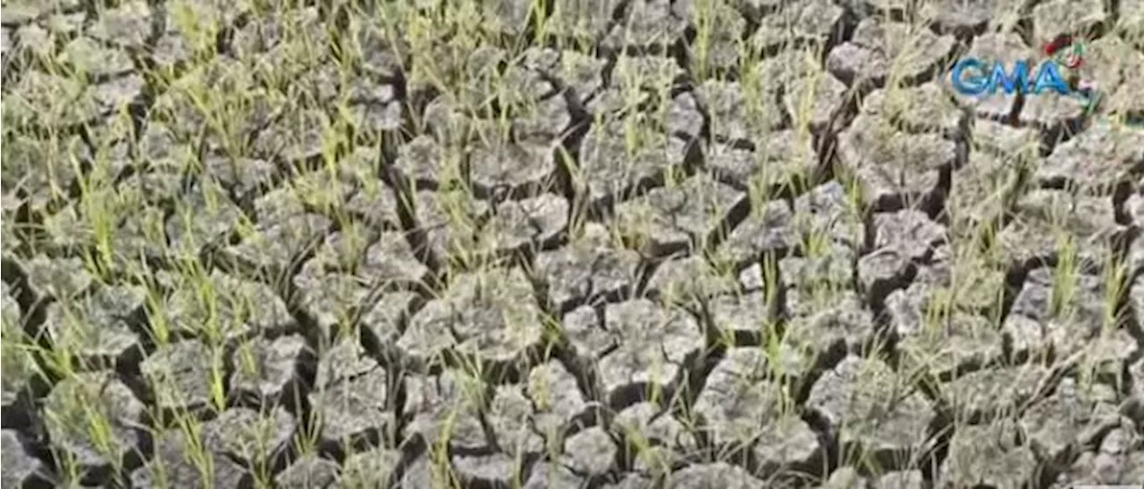 Cebu placed under a state of calamity due to El Niño
