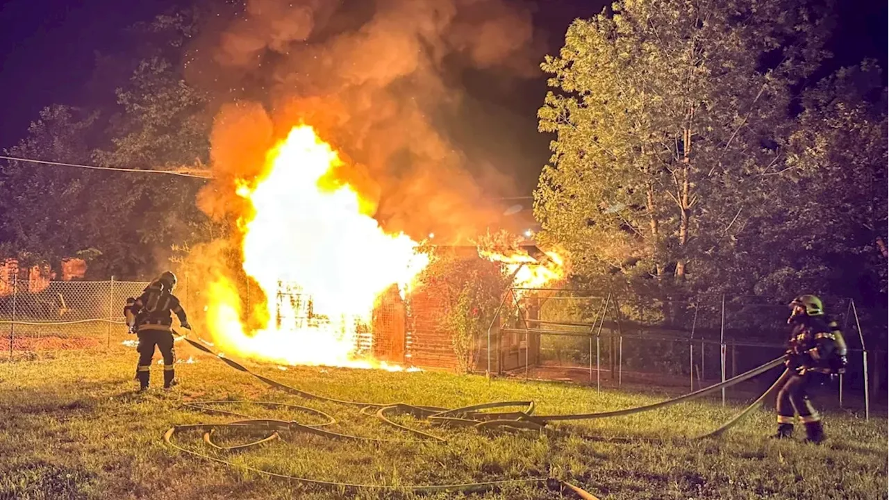 Hütte mit Hühnern und Tauben geht in Flammen auf