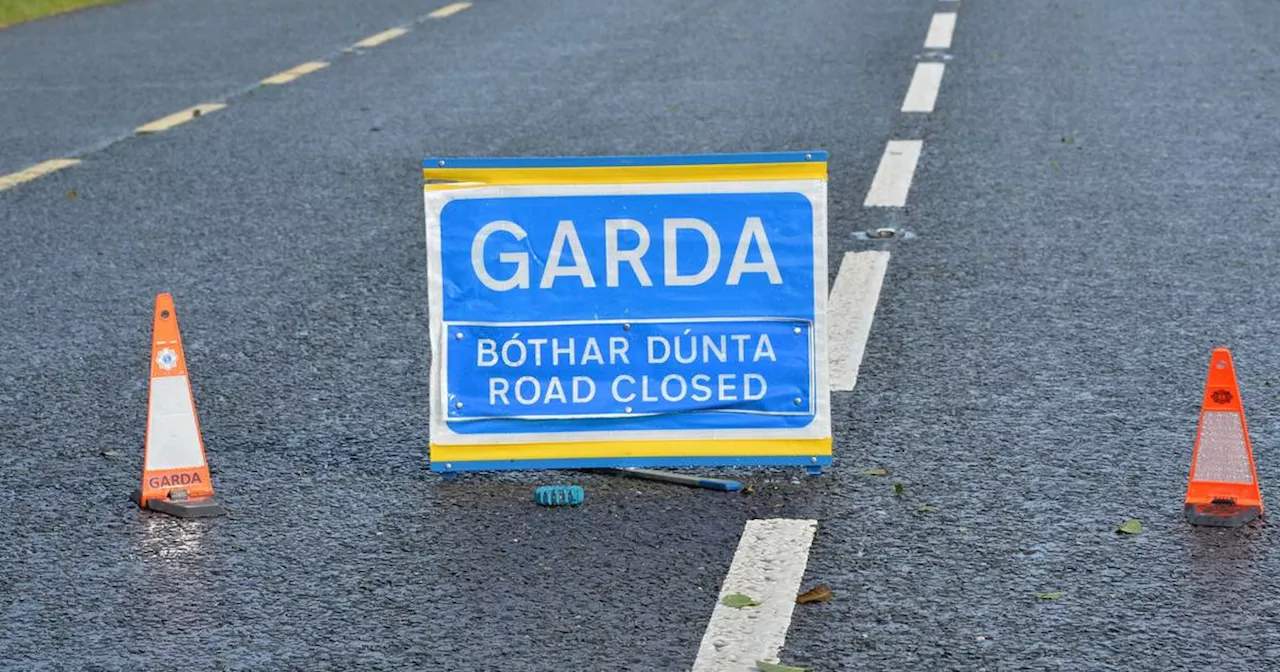 Man (30s) dies in car crash in Offaly