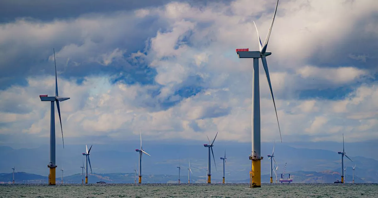 Oriel to seek planning permission for wind farm off Louth coast to generate enough electricity to power 300,000 homes