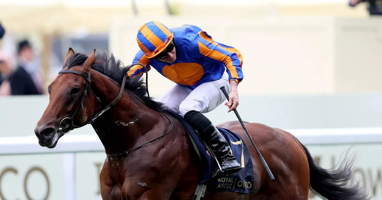 River Tiber set to lead Ballydoyle team into Irish 2,000 Guineas at the Curragh