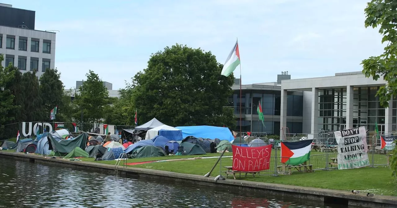 UCD president criticises ‘messages of hatred and violence’ following pro-Palestine protest on campus