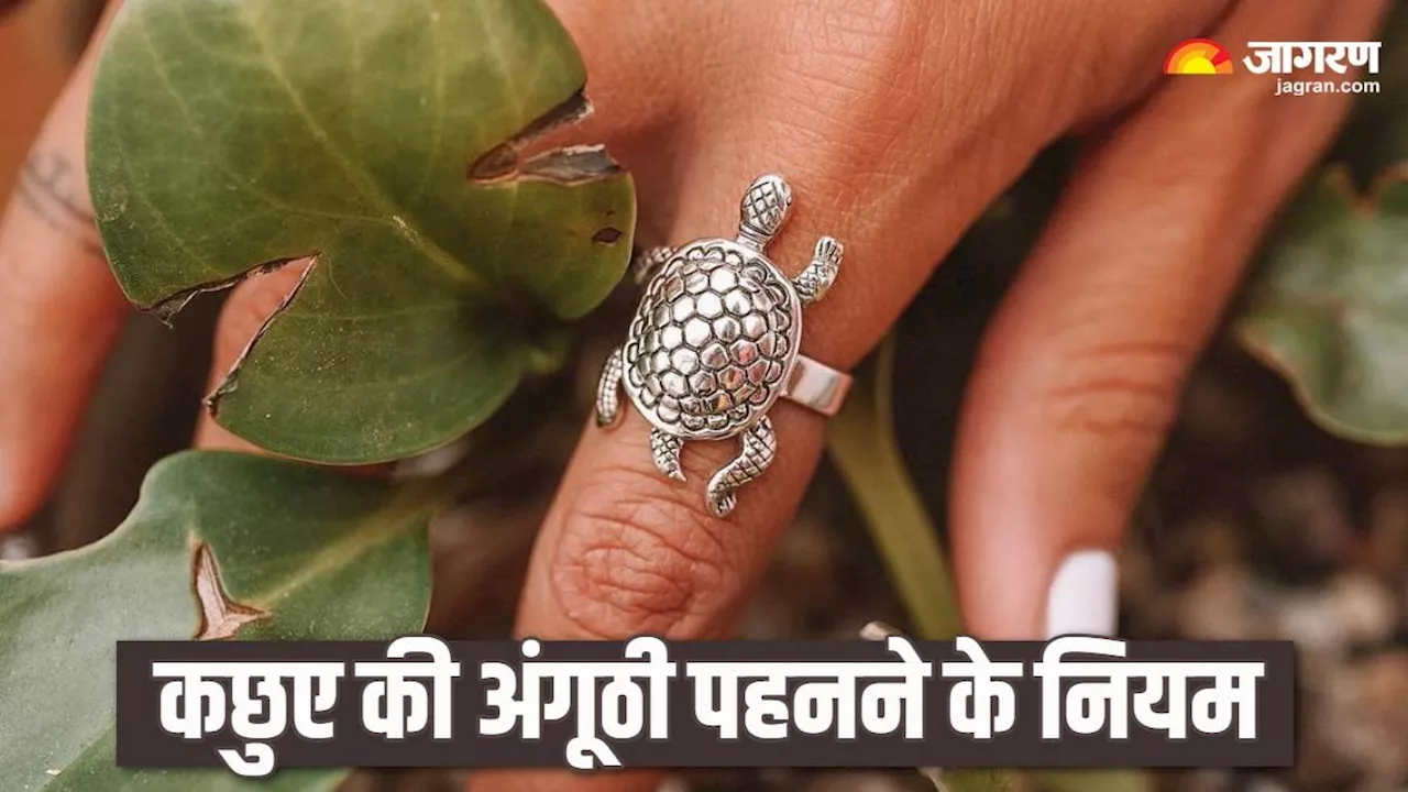 Tortoise Ring: धारण करना चाहते हैं कछुए की अंगूठी, तो इससे पहले जरूर जान लें नियम