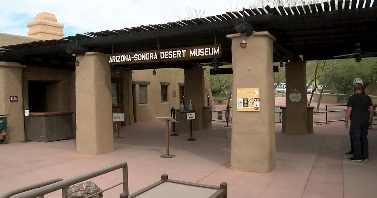 Desert Museum, Bisbee library awarded highest national honor for service in the community