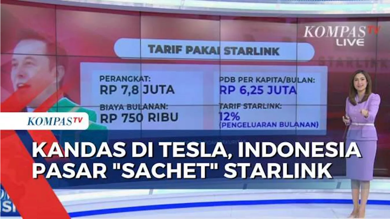 Kandas Gaet Tesla, Indonesia Cuma Dikasih 'Starlink' oleh Elon Musk!