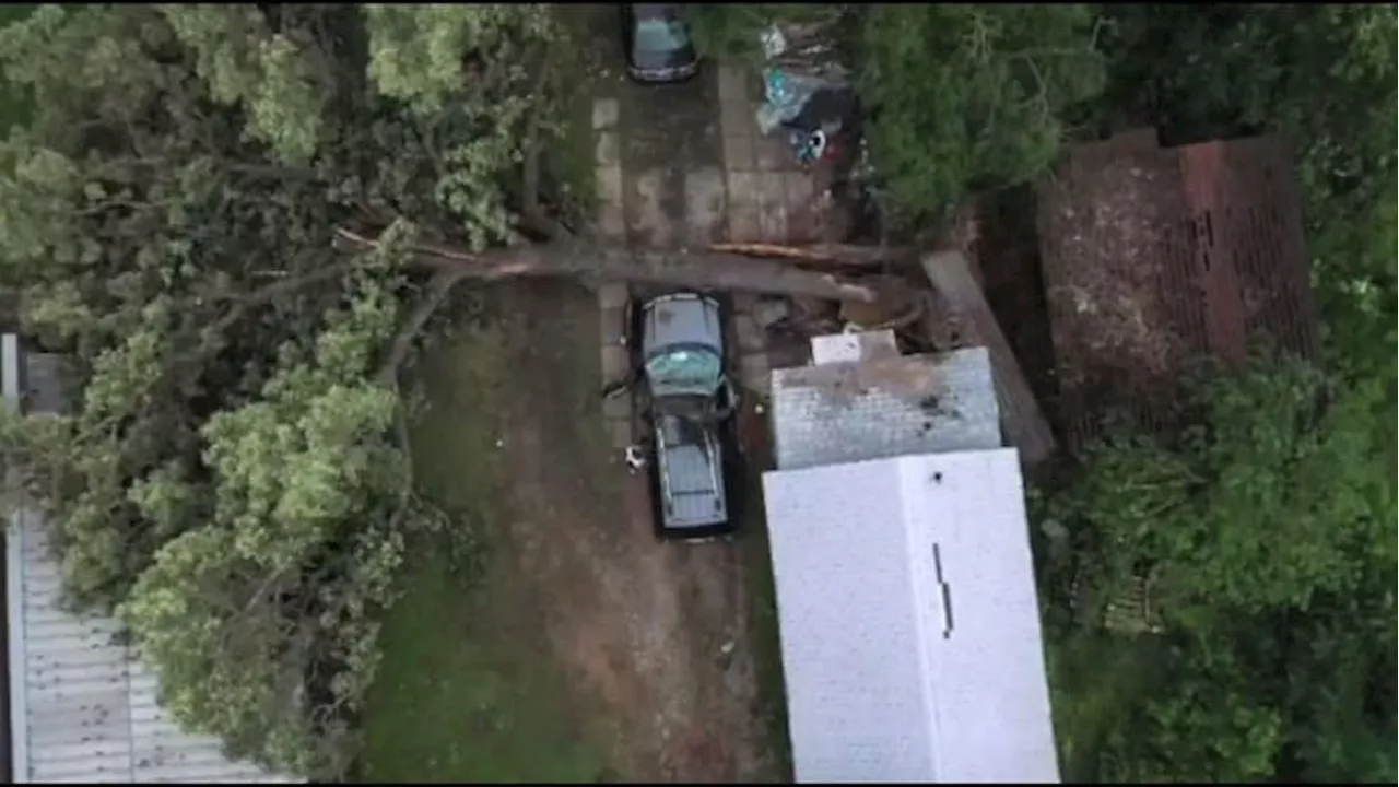 People concerned with overgrown trees after Houston storm turn to KPRC 2 Investigates for help