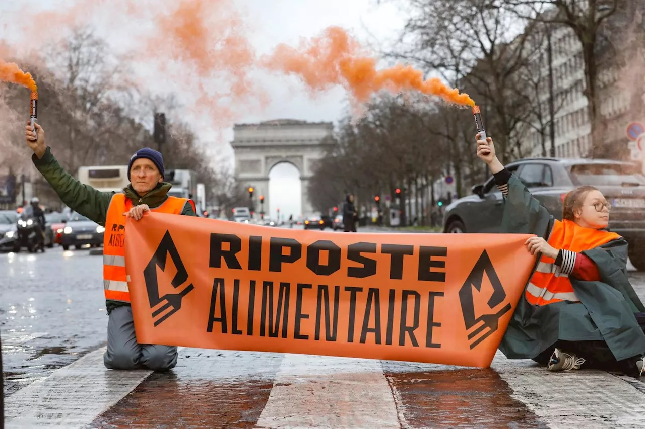 Riposte alimentaire, le collectif qui veut une Sécurité sociale de l’alimentation