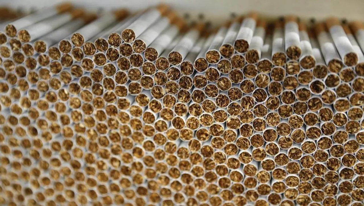 Interpellé avec 200 000 cigarettes dans sa voiture, un Algérien condamné à un an de prison