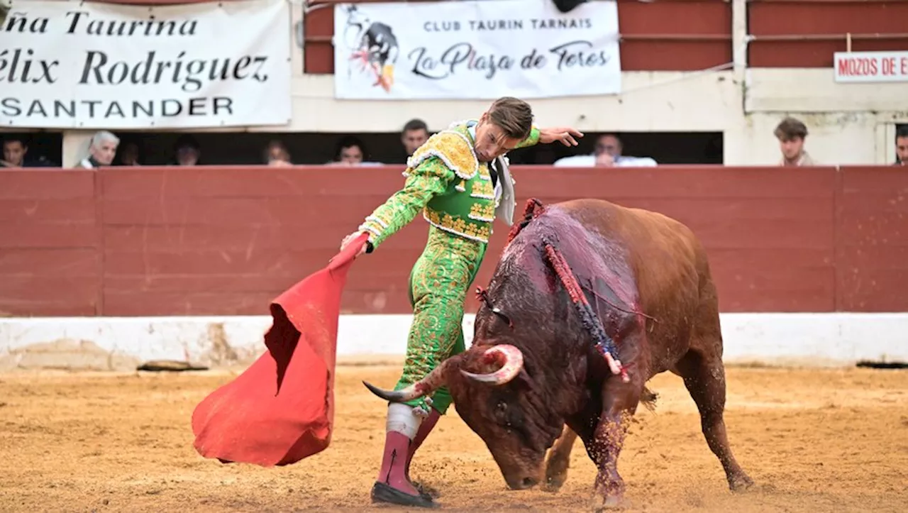 3e corrida de Pentecôte à Vic-Fezensac : Luis Gerpe coupe une oreille