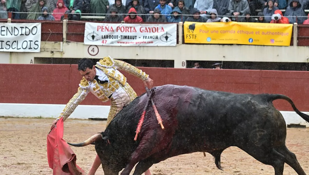 Des héros pour la corrida-concours de Vic-Fezensac