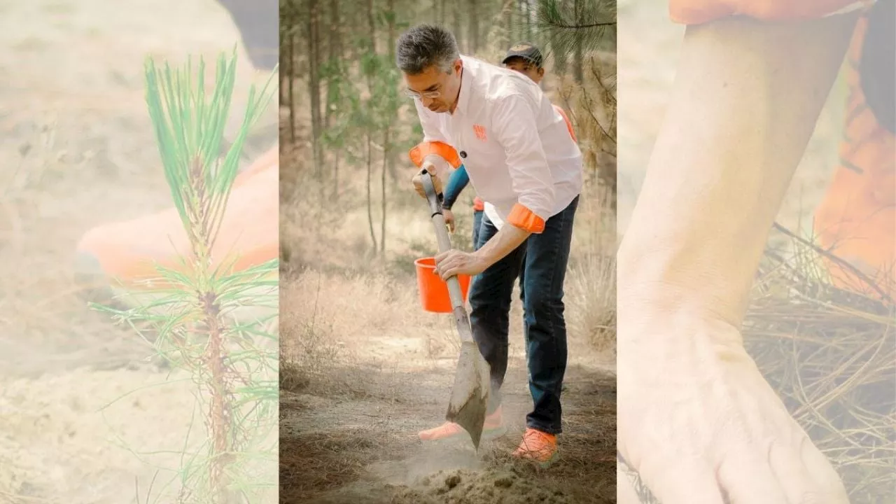 Inicia Dante Delgado programa de reforestación en Perote