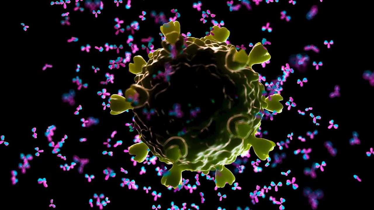 In a 1st, HIV vaccine triggers rare and elusive antibodies in human patients