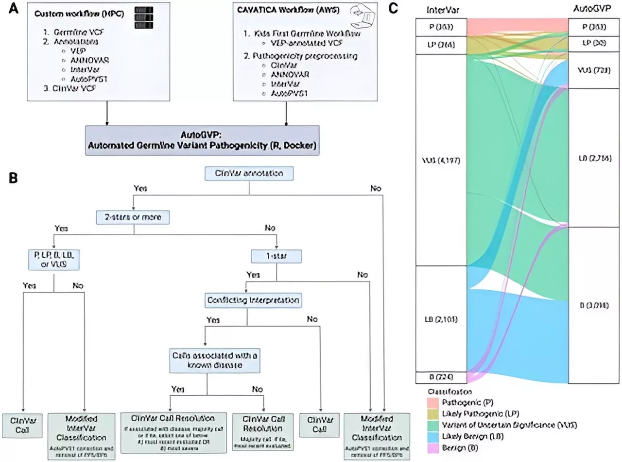 Researchers develop new tool for better classification of inherited disease-causing variants