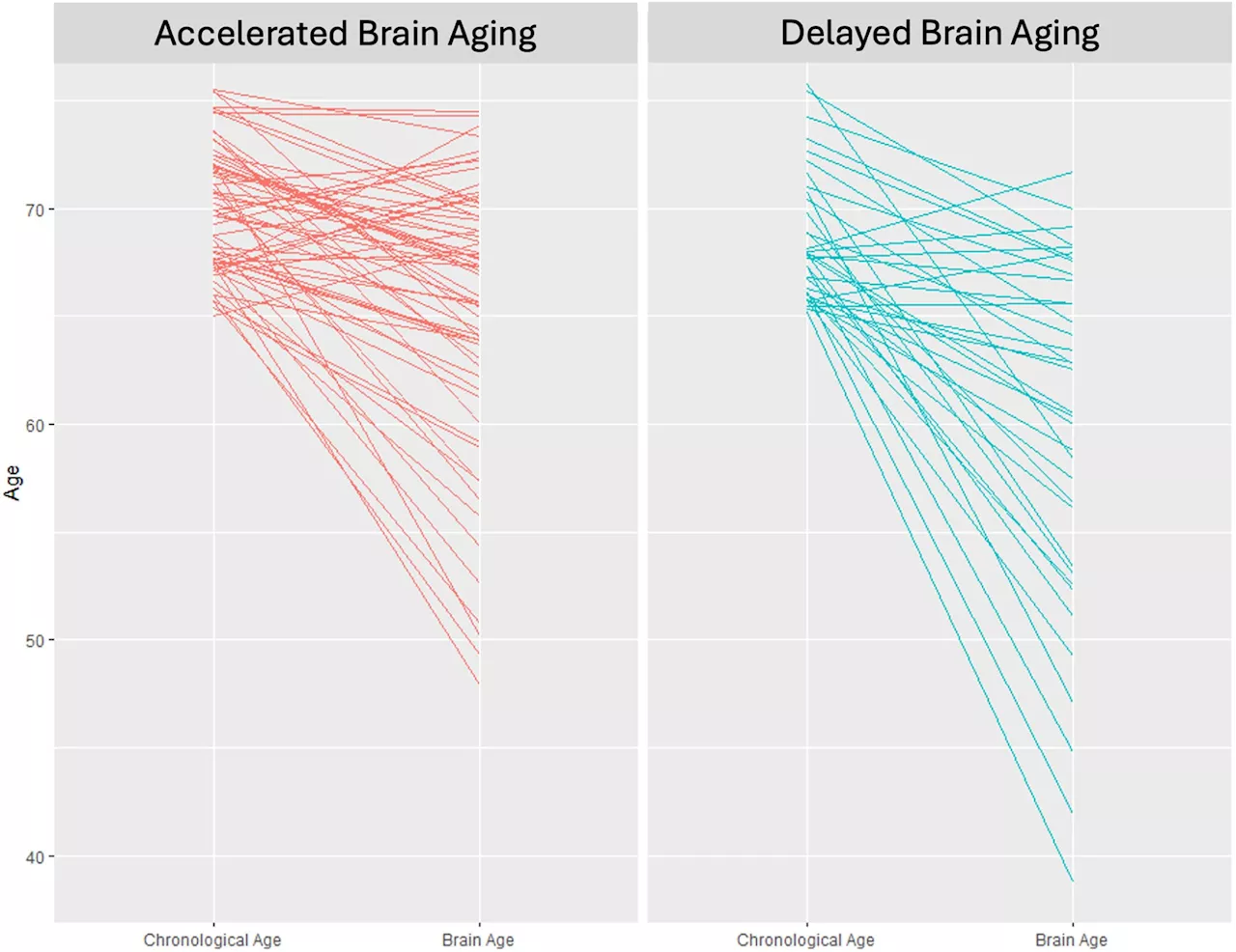 Study: Certain nutrients may slow brain aging