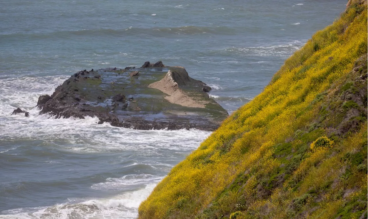 Half Moon Bay: Small plane crash reported along Peninsula coast