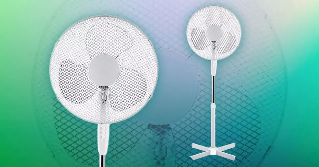 This fan from Amazon is less than £20 and comes highly rated by users