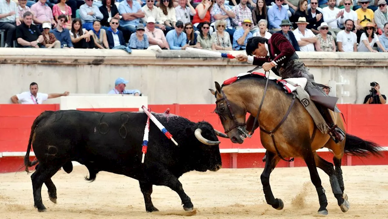 Des oreilles, des leçons, des polémiques au bilan côté arènes de la Pentecôte à Nîmes