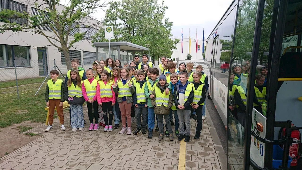 Strasshofer EMS-Schüler lehrten Volksschüler sicheres Busfahren