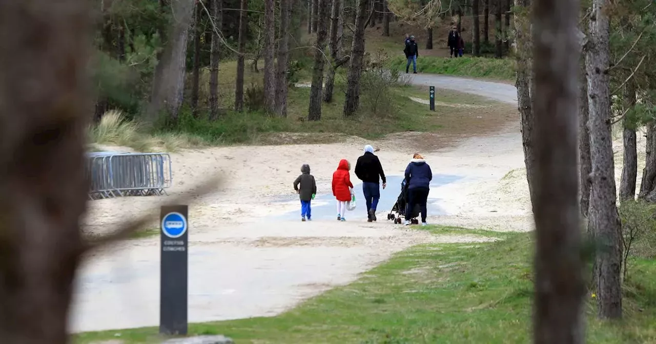 UK beach where you can spot dolphins and even a whale 150 miles away