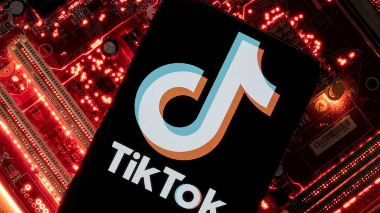 Blocage de TikTok en Nouvelle-Calédonie : le Conseil d’État accorde un délai au gouvernement