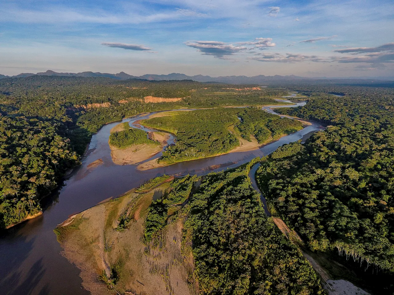 Conservation of 'Nature's Strongholds' needed to halt biodiversity loss, say researchers