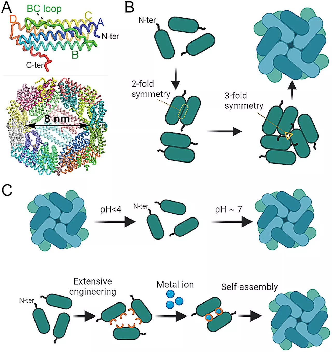 Scientists' new drug-delivery technology is possible breakthrough for multi-strain vaccines