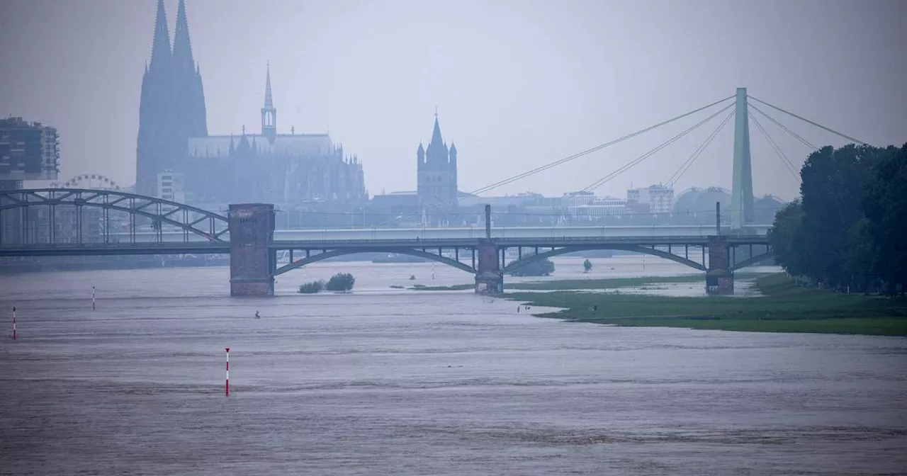  heute: Weiter Regen angekündigt - Hochwasser am Rhein