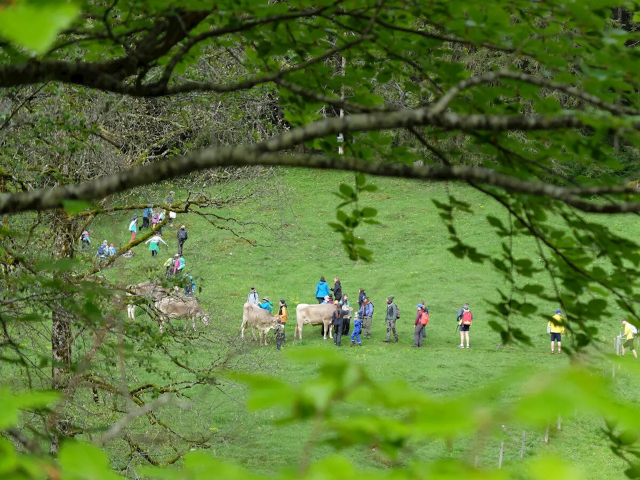 130 Kinder im Einsatz für die Natur