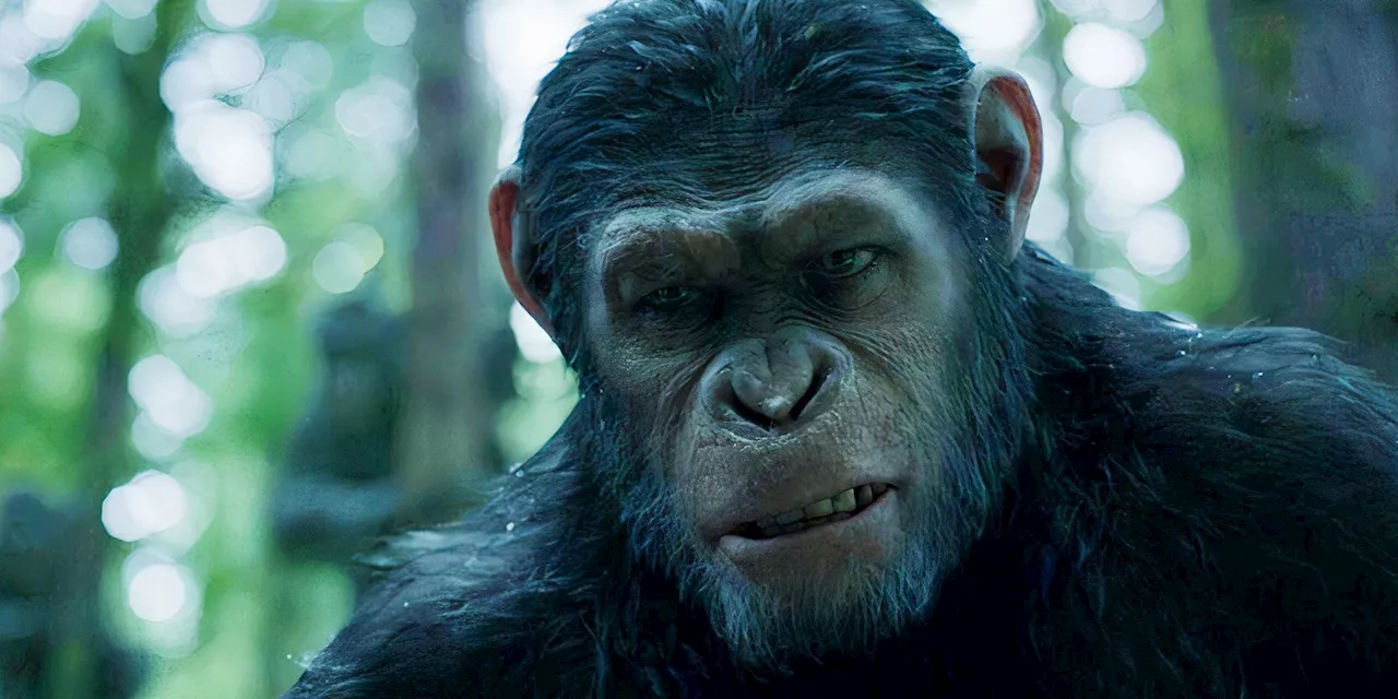 &quot;So Realistic&quot;: Matt Reeves' First Planet Of The Apes Movie Gets High Praise From Ape Expert