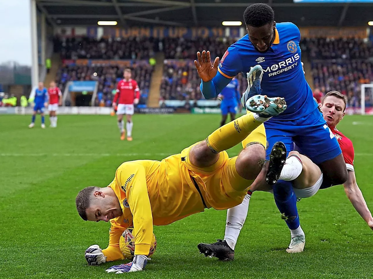 Dave Edwards: Marko Marosi exit leaves a hole - but Shrewsbury Town can get creative