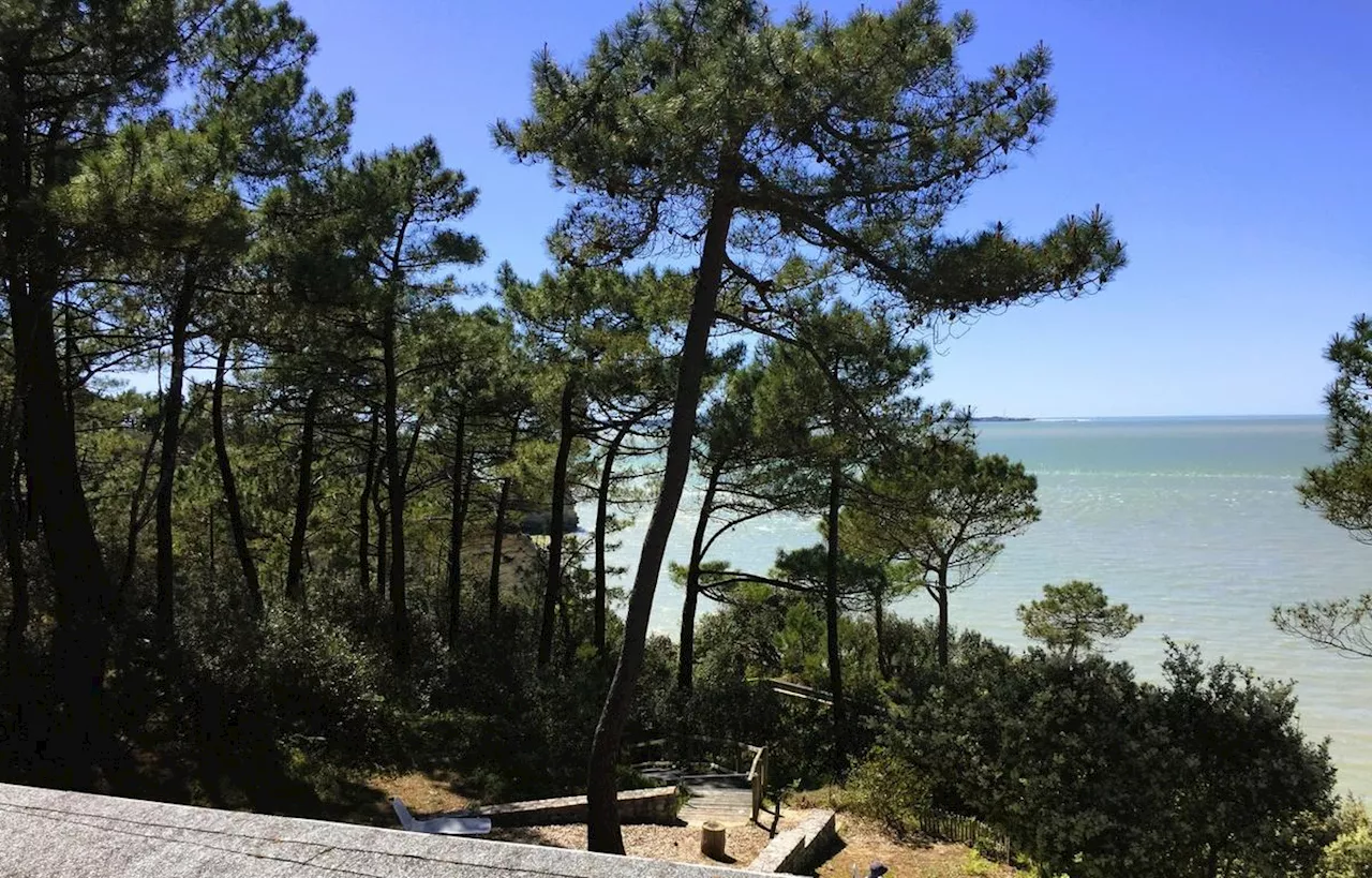 Saint-Georges-de-Didonne : le mystère des quatre saisons à découvrir au parc de l’Estuaire