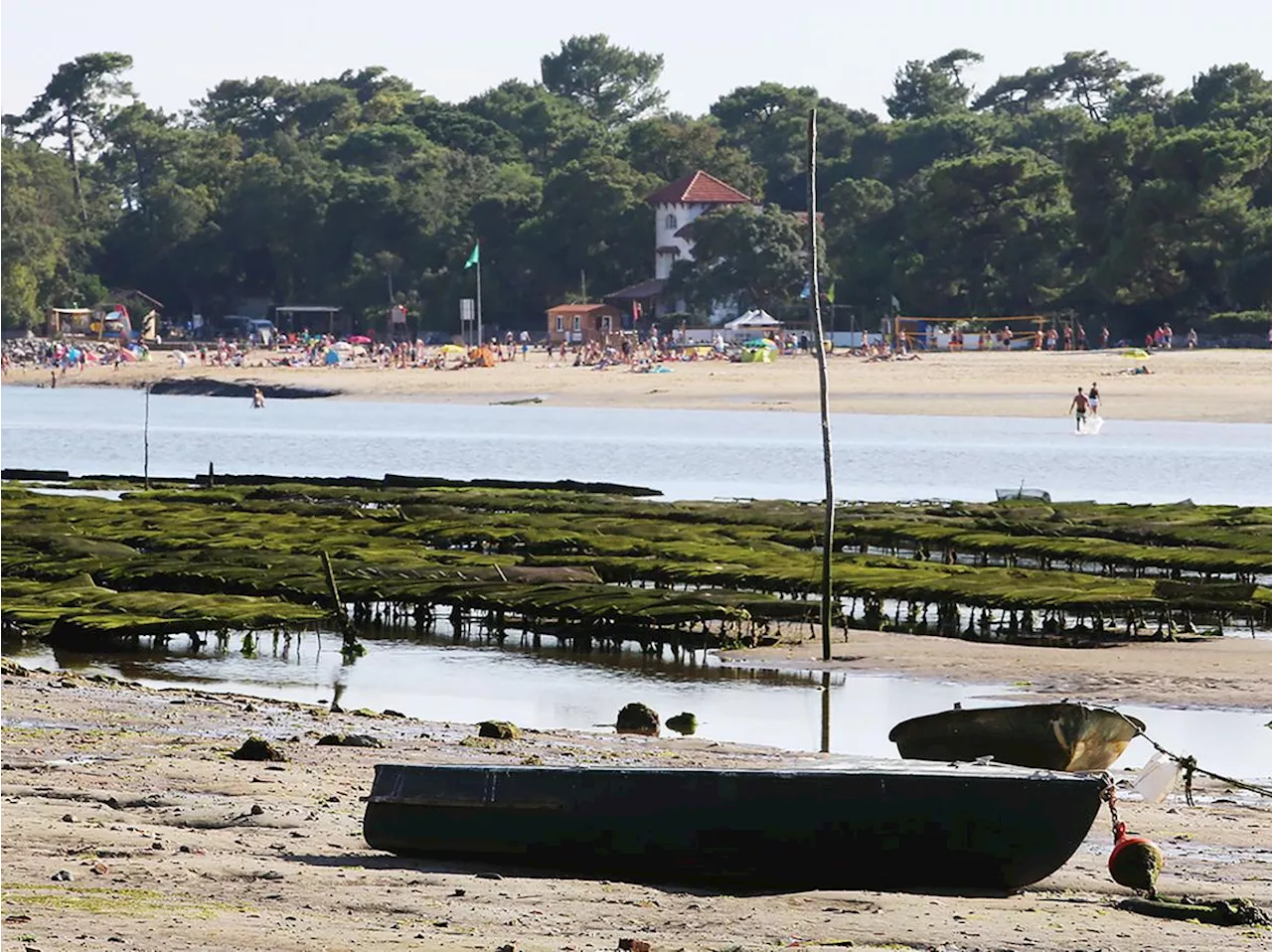 Soorts-Hossegor : une randonnée de découverte et de gourmandise autour du lac