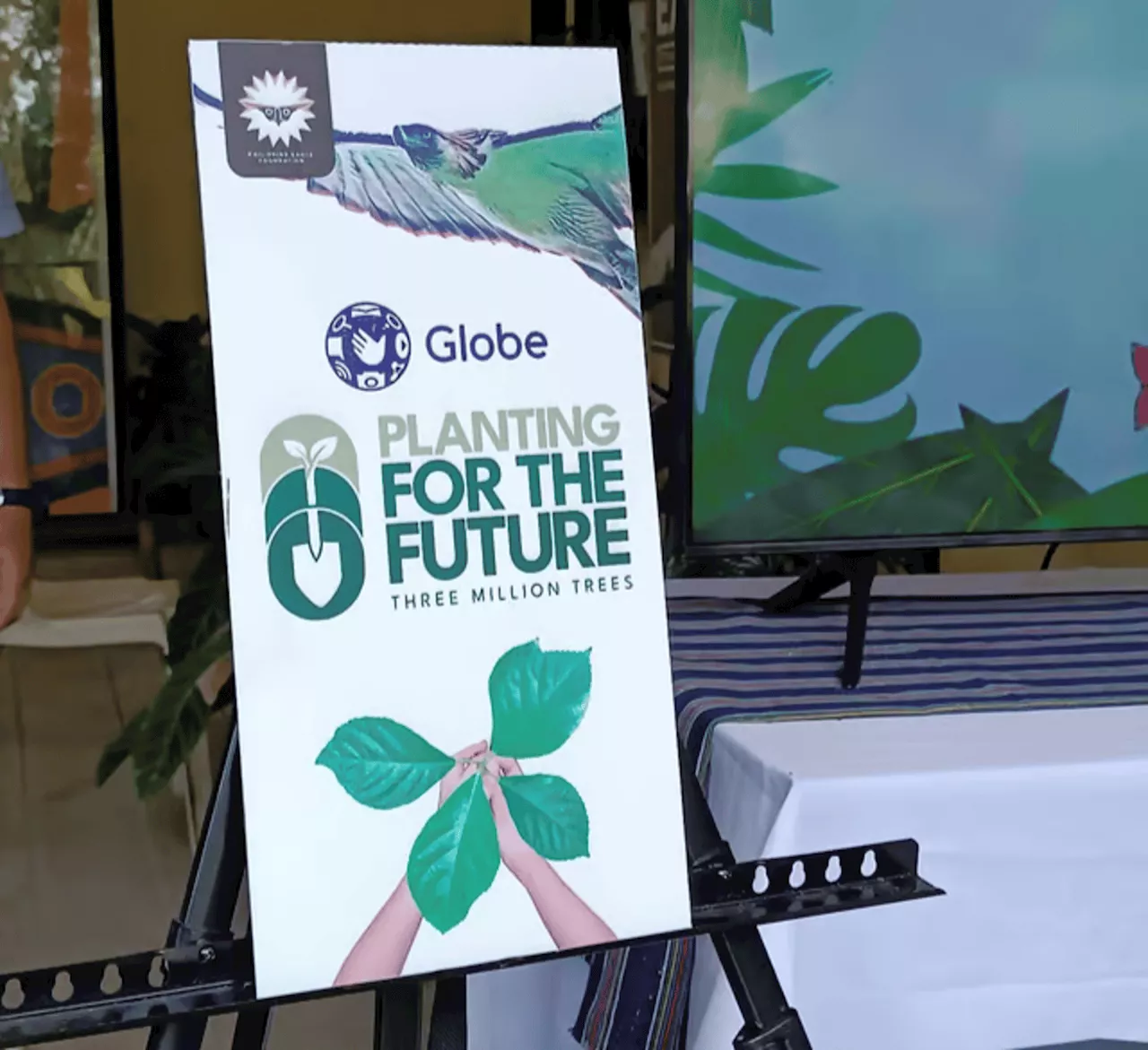 PEF conducts media briefing for ‘3 Million Trees’