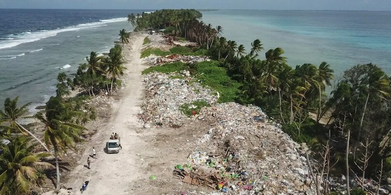 Folgen der Klimakrise auf die Meere: Seegericht nimmt Staaten in Pflicht