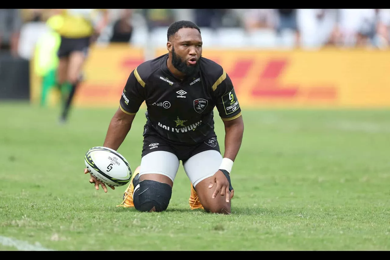 Sharks suffer Lukhanyo Am blow ahead of Challenge Cup final