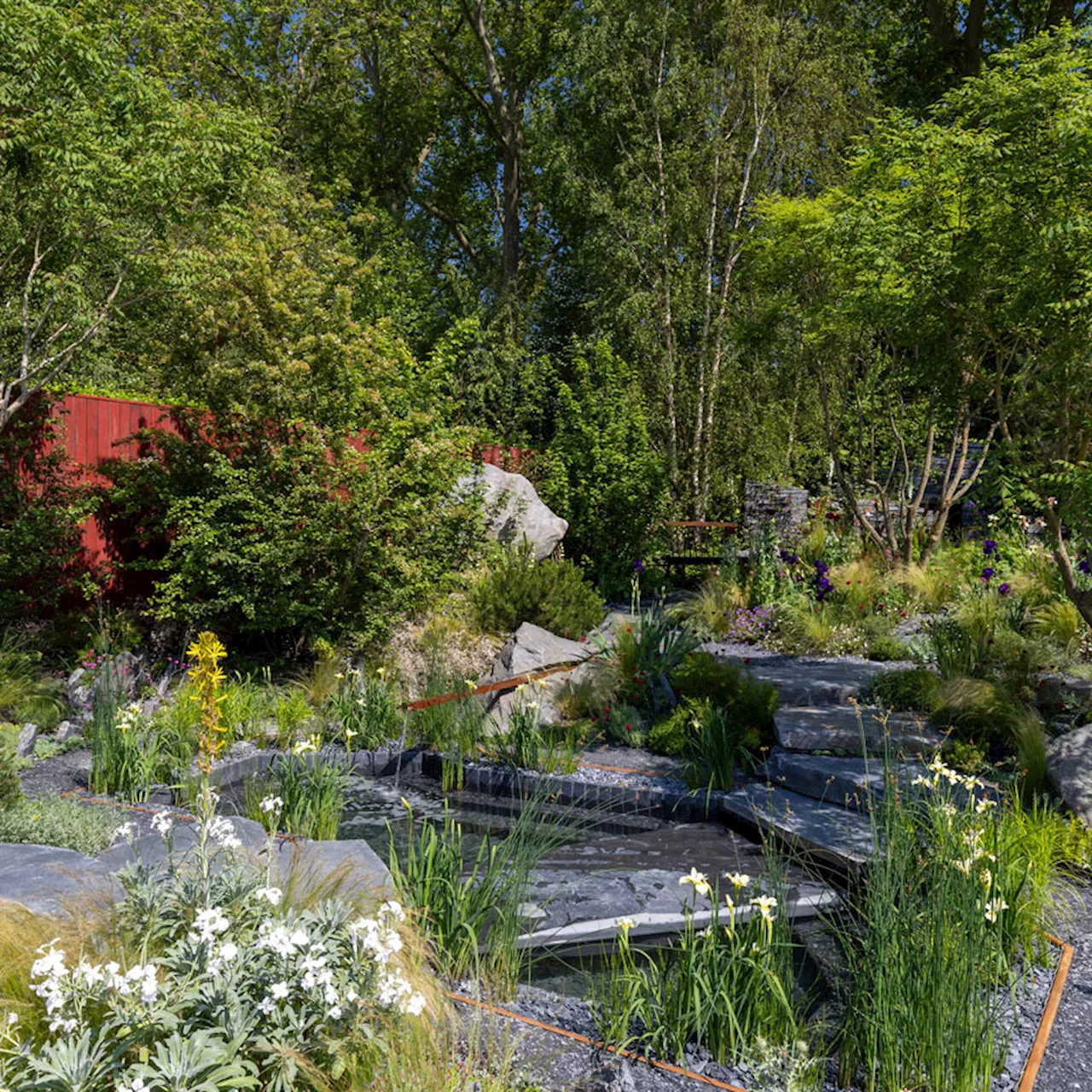 Glossip: The RHS Chelsea Flower Show 2024 Winners