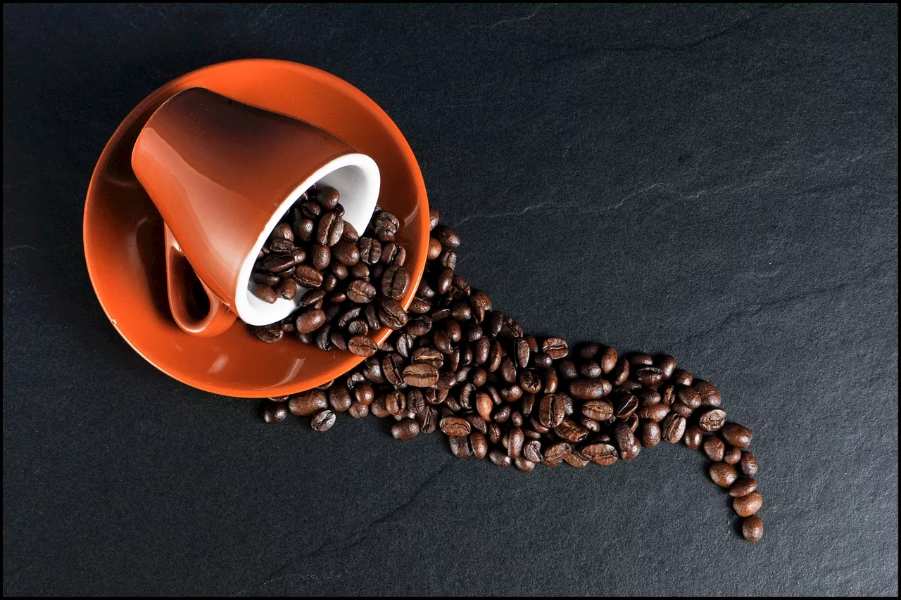 Coffee catastrophe? Spotting cat caffeine poisoning