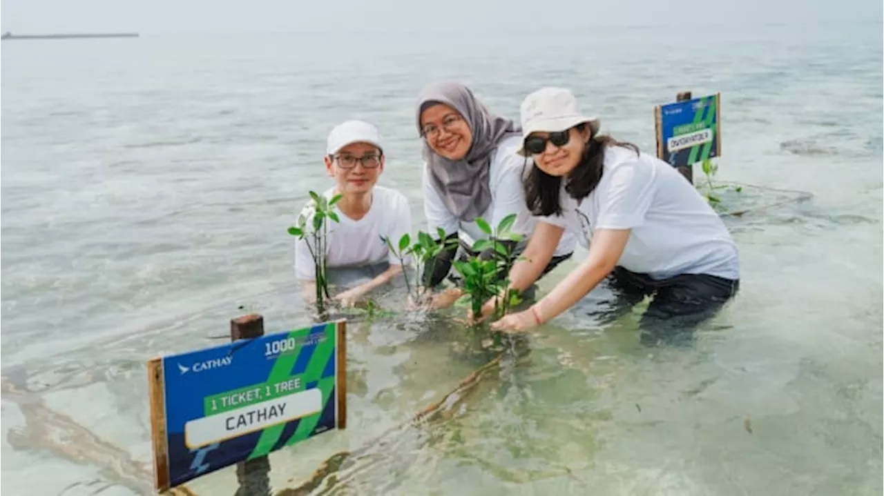 Cara Cathay Bantu Turunkan Emisi dan Atasi Perubahan Iklim