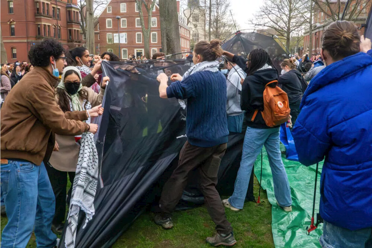 Harvard faculty urge college to let disciplined student protesters graduate on time