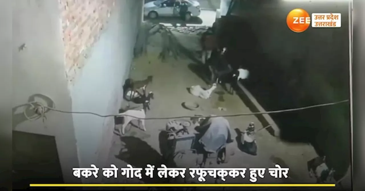 Ghaziabad Video: लग्जरी कार में बकरा चुराने वाला गैंग, गाजियाबाद में सामने आया हाइटेक चोरों का सीसीटीवी वीडियो