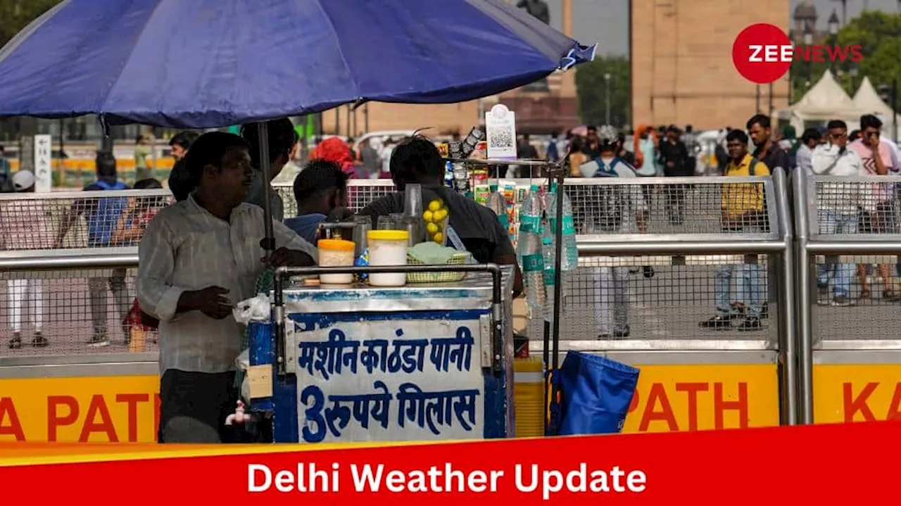 Weather Update: Red Alert In Delhi As Temperatures Soar To 47°C, Power Demand Peaks, Schools Close Early